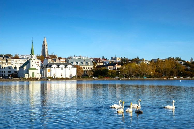 Le lac Tjörnin : un joyau en plein cœur de Reykjavik