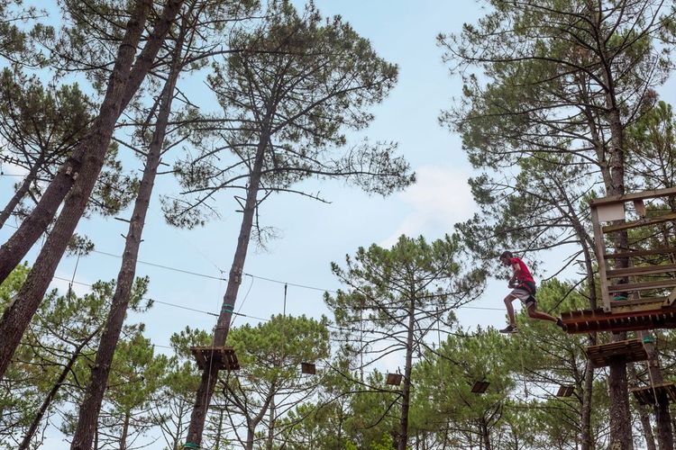 È possibile organizzare giornate di gruppo presso l'accrobranche di Cassis
