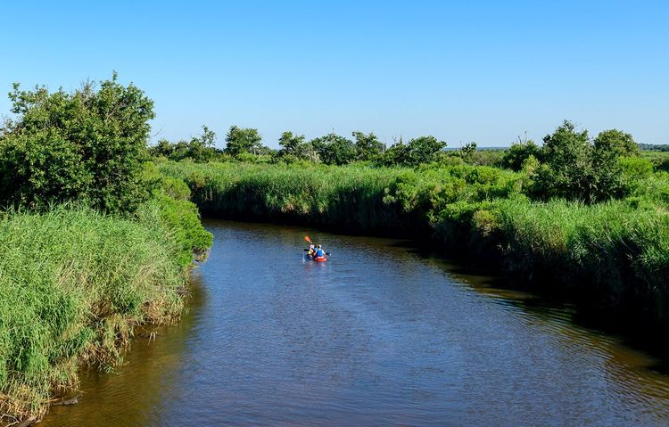 Canoé sur la Petite Amazonie, l'Eyre