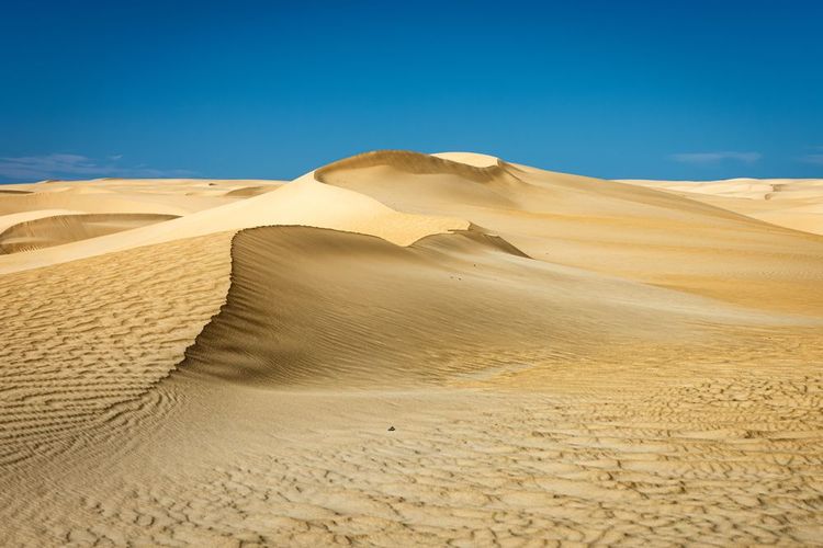 Les dunes du parc rappellent la caractère désertique de tout l'outback australien