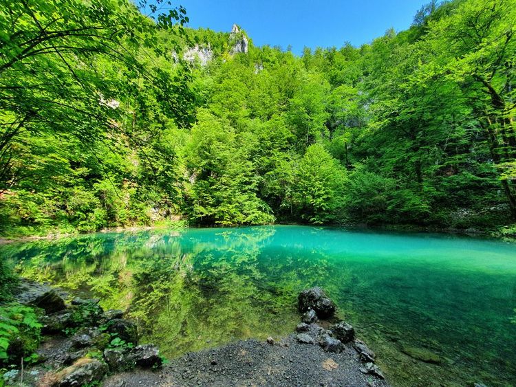 Source de la rivière Kupa dans le parc national de Risnjak