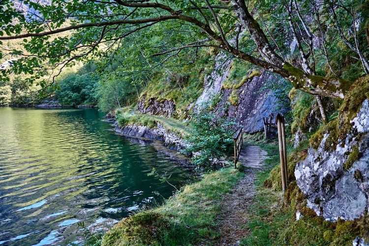 Un sentier de randonnée traversant le fjord.