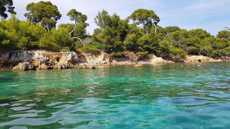 Île de Sainte-Marguerite