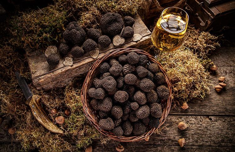 Truffes