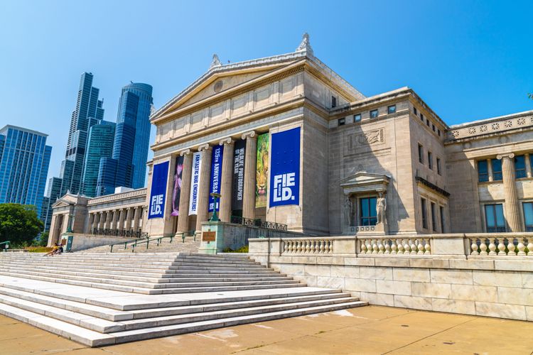 El Museum Campus de Chicago, con su museo de historia natural, acuario y planetario