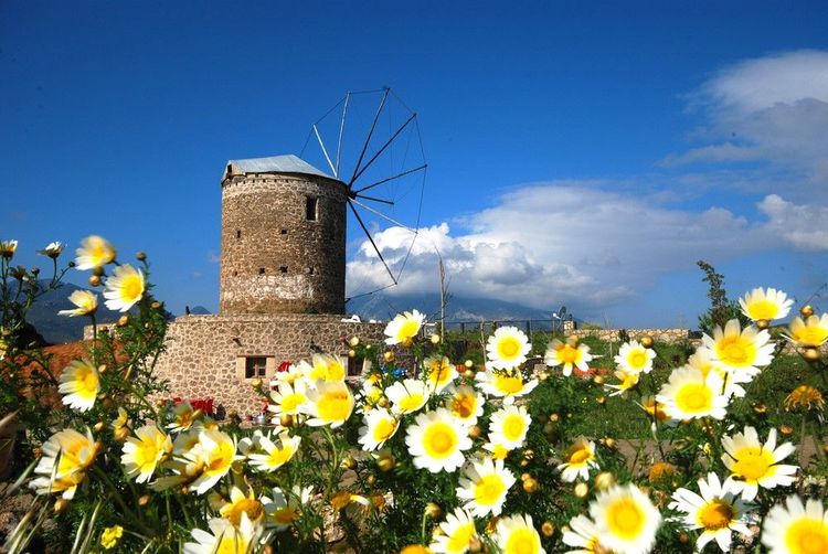 Vieux moulin à Bodrum toujours en activité