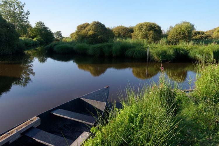 Scoprite il Parco Naturale Regionale della Brière al vostro ritmo