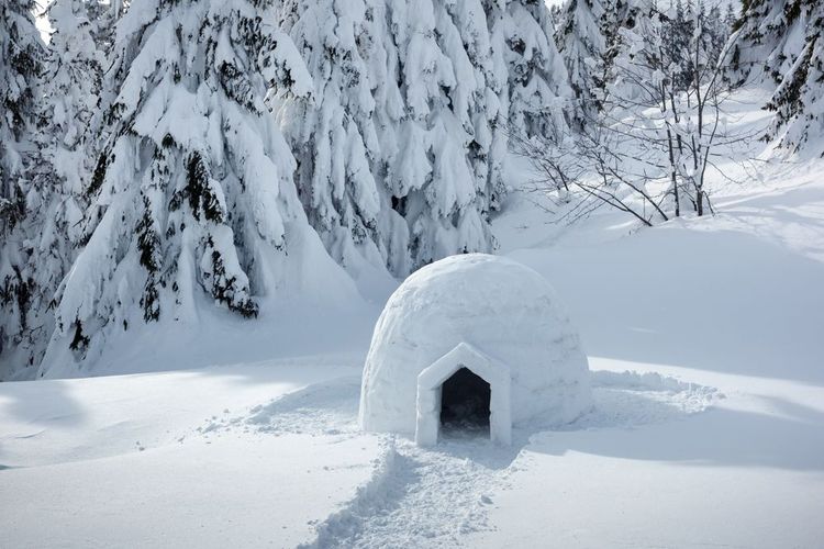 Un igloo fait main.