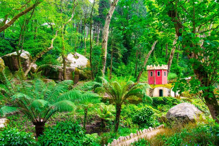 Le parc du palais est particulièrement luxuriant et utilise de nombreuses essences exotiques
