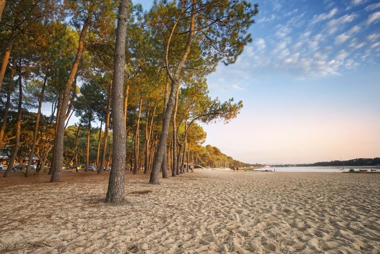 Lac d'Hossegor
