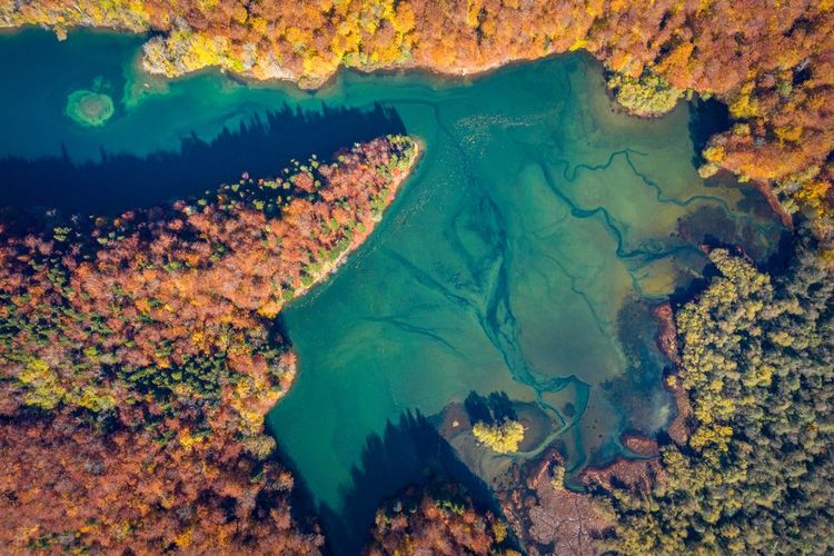 Lac de Biograd, parc national de Biogradska Gora, Monténégro
