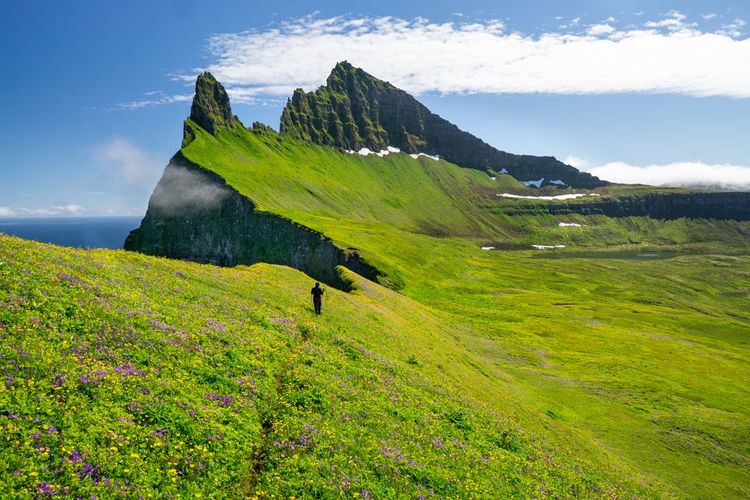Falaises de Hornbjarg, Islande