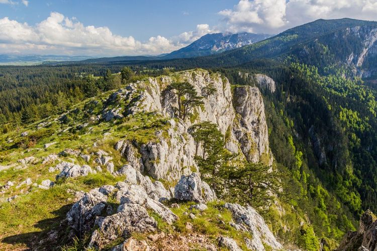 montagne de Curevac, Monténégro