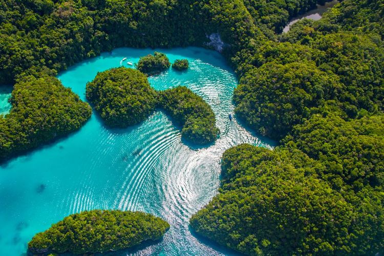Vue sur les îles Palaos, Micronésie