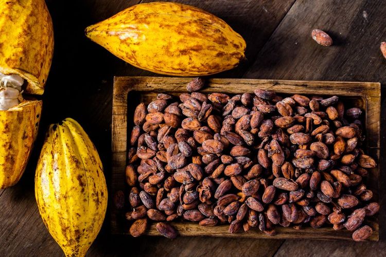 A l'origine était la fève du cacaoyer