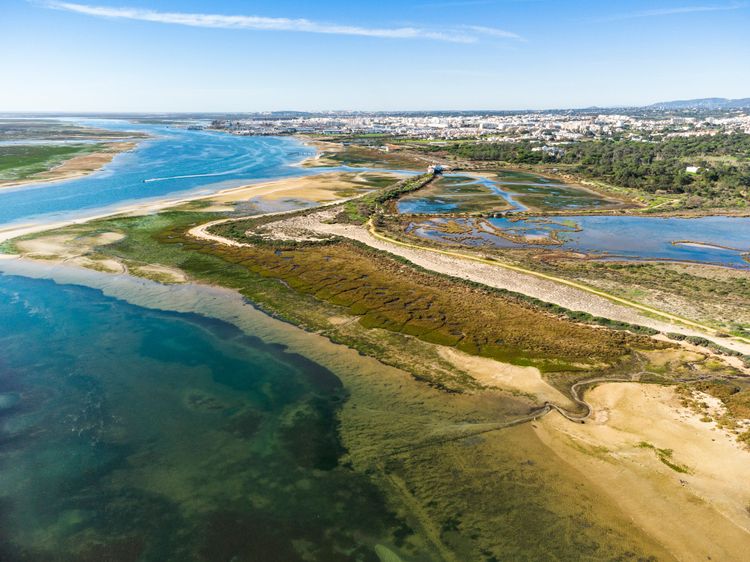 Besuchen Sie die Lagune Ria Formosa