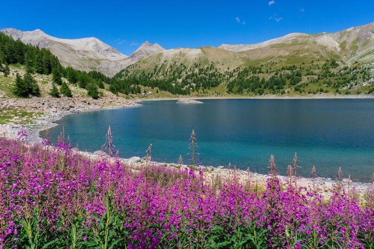 Lac d'Allos