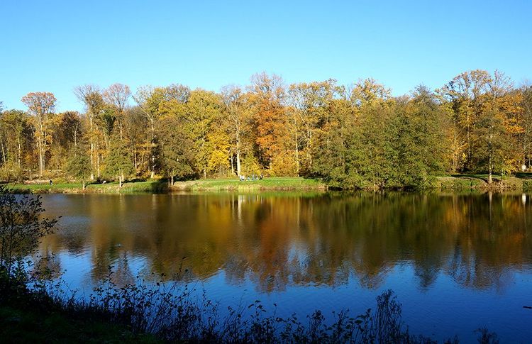 La Forêt de Montmorency et son lac