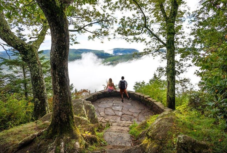 La forêt à Asheville, Blue Ridge Parkway, Caroline du Nord