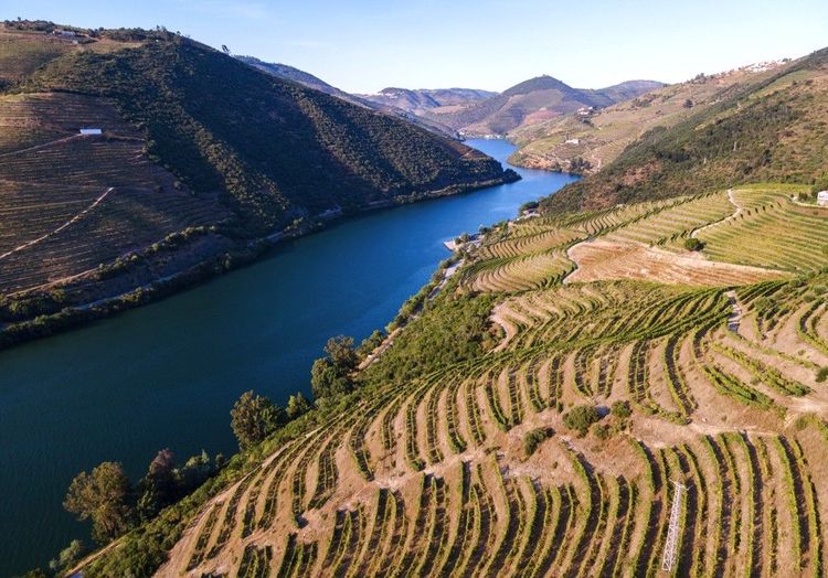 Du Douro à Peso da Régua