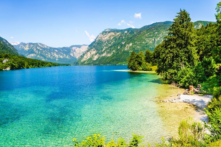 le lac de Bohinj