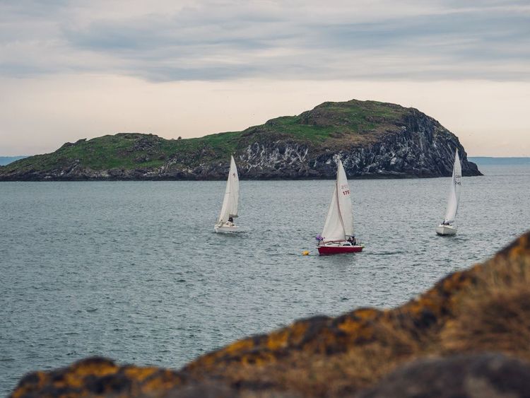 Des voiliers au large de North Berwick, Ecosse