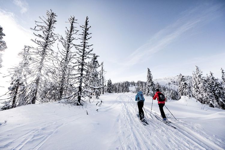 Ski alpin dans le massif du Dévoluy