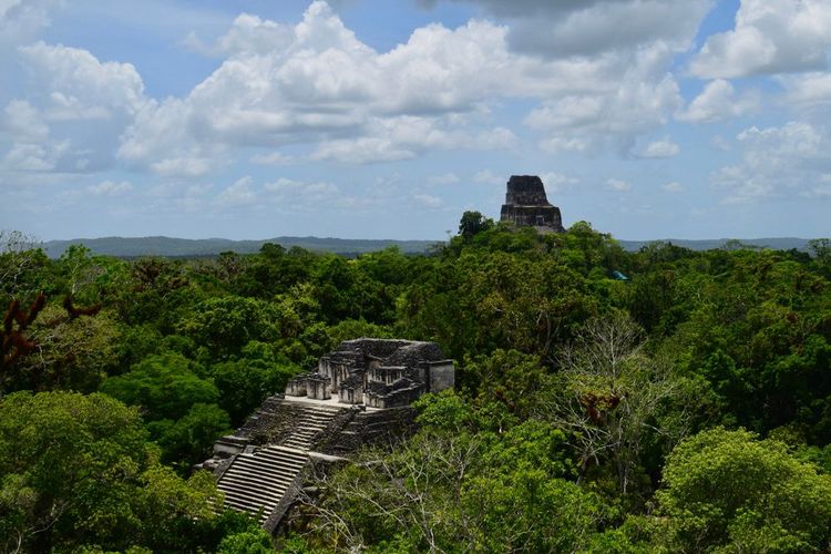 ruines de Tikal au Guatemala