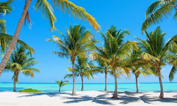 La plage de rêve façon République dominicaine