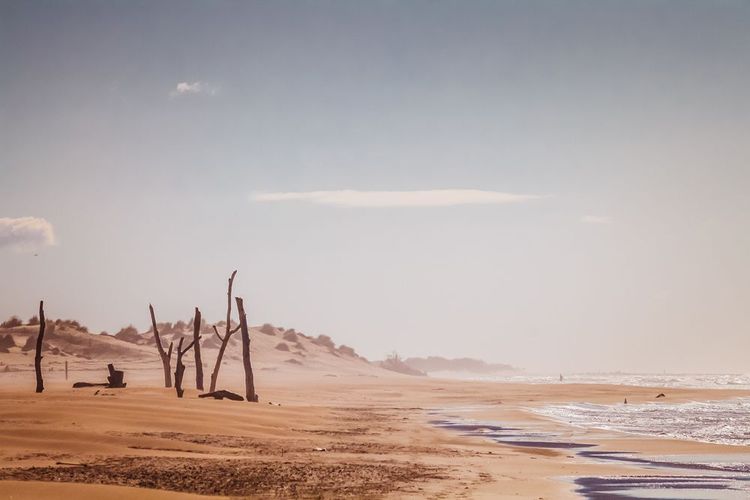 La plage d'Espiguette. Situé à l'est de Grau-du-Roi