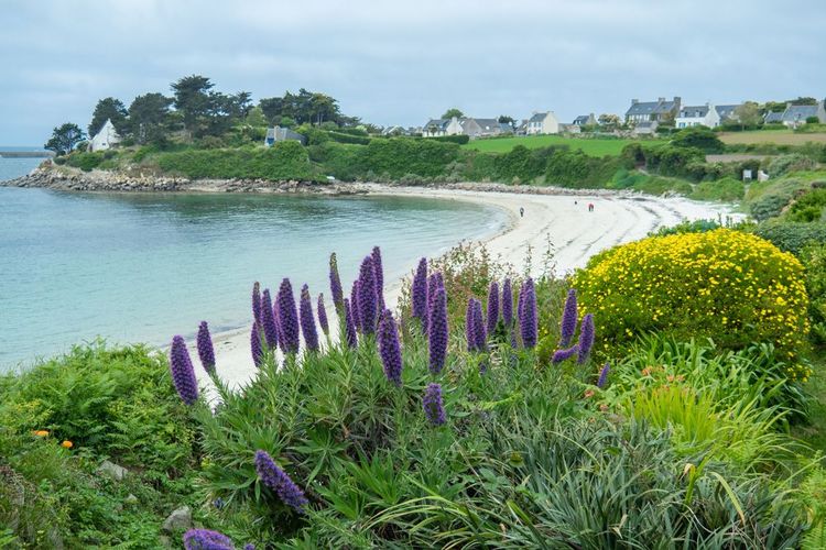Ile de Batz, Finistère