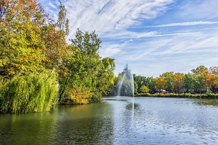 Le jt d'eau vertical du jardin Compans-Caffarelli