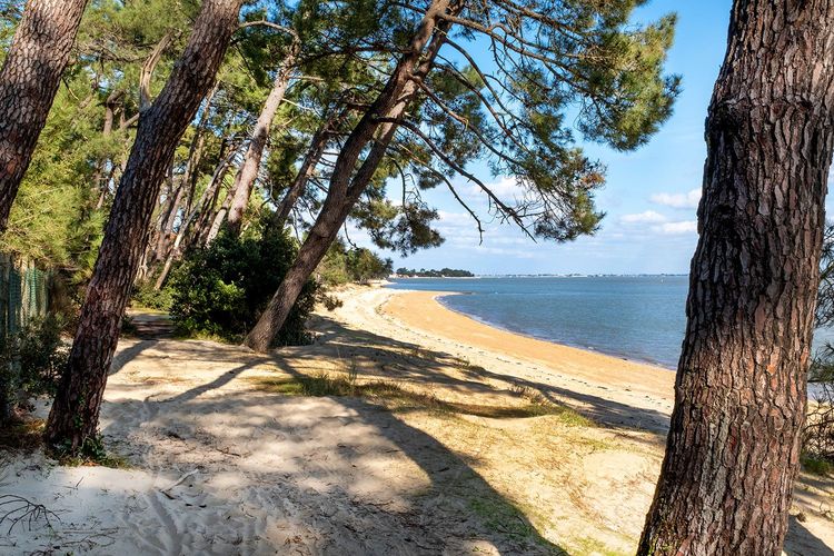 Saint-Trojan, sa pinède et sa plage