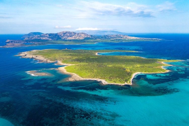 Explorer le parc national spectaculaire d'Asinara