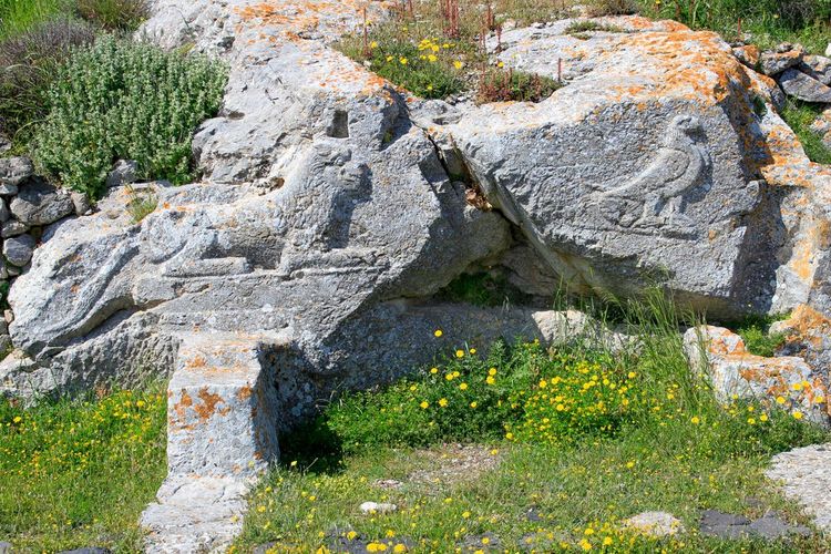 Der geschnitzte Temenos
