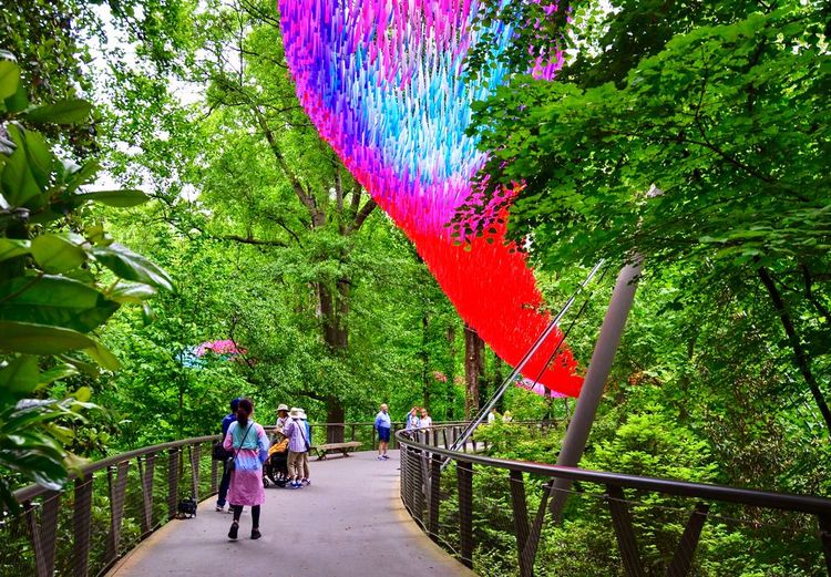 Kendeda Canopy Walk, Jardin botanique d'Atlanta, Etats-Unis
