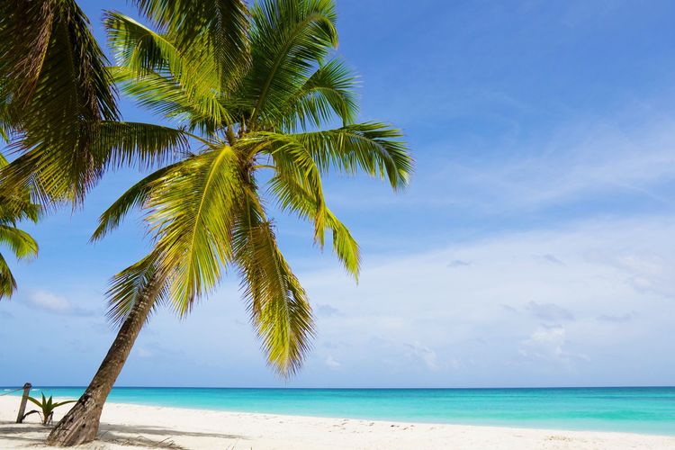 8 playas de ensueño en Punta Cana
