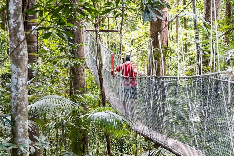 Taman Negara, Malaisie