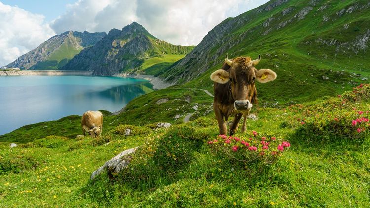  Lac de Brand, Vorarlberg