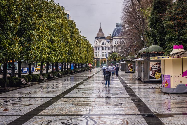 Reaprender a respirar en el Parque San Francisco de Oviedo