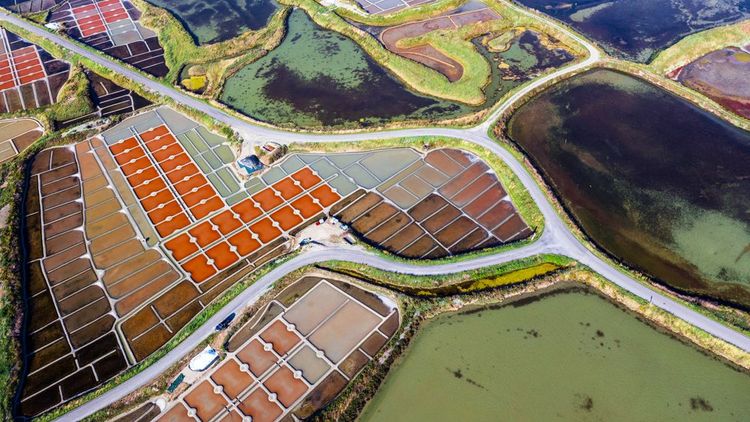 In bicicletta alla scoperta di La Baule