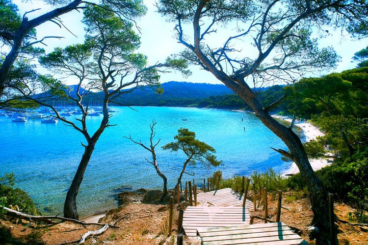 Plage Notre Dame de Porquerolles