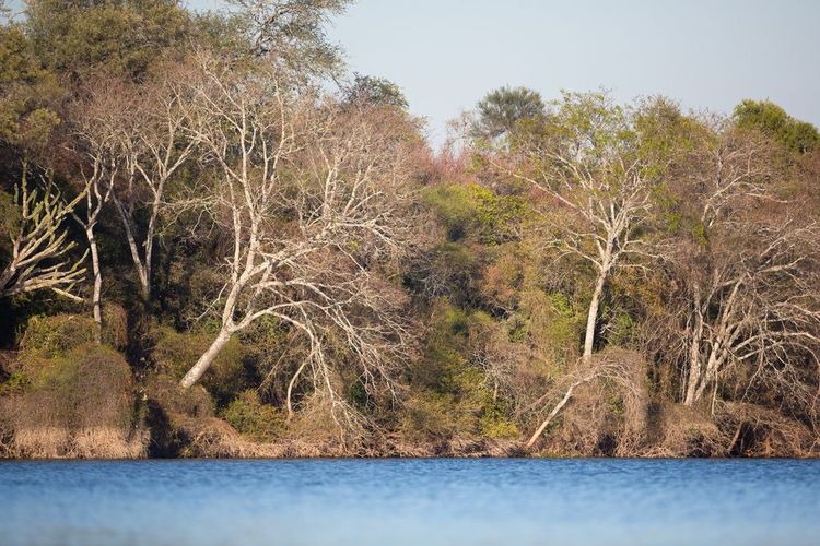 Un lac dans le parc national El Impénétrable, Chaco, Argentine