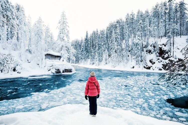Dans le parc national Oulanka en Laponie finlandaise