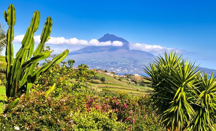 Le Pico surplombe l'archipel
