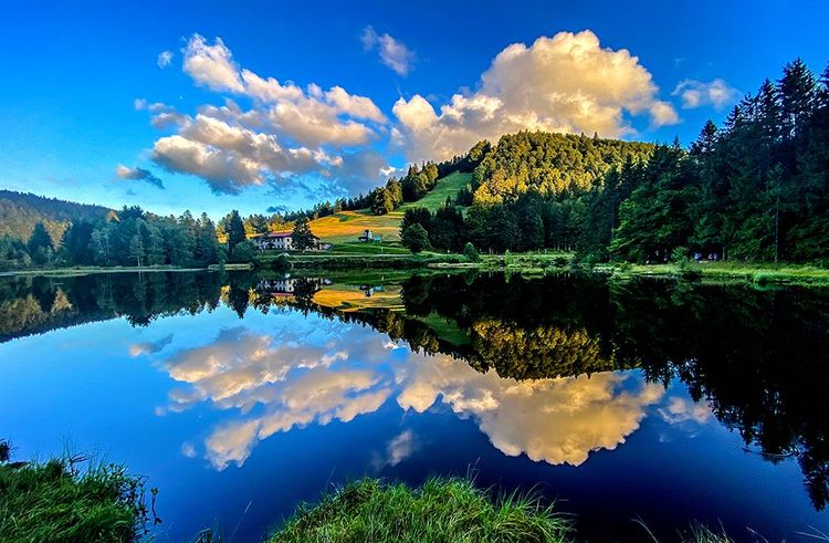 En hiver, les arbres nus se reflètent dans le lac de Lispach en Lorraine.