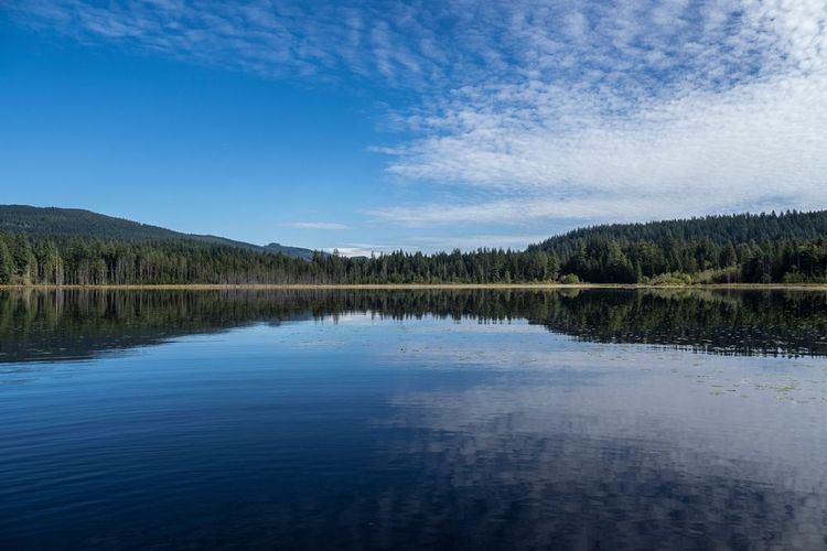 Parc du lac Whonnock à Maple Ridge (Colombie-Britannique) Canada