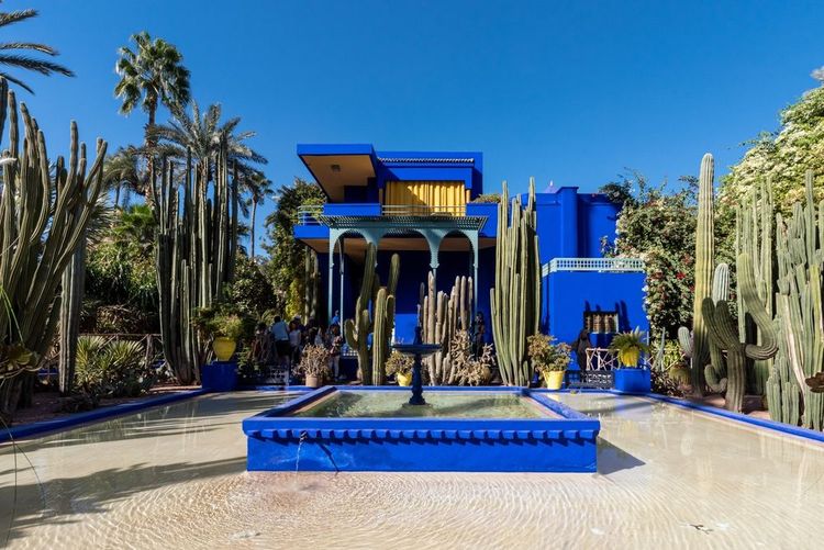 Le Jardin Majorelle, à Marrakech
