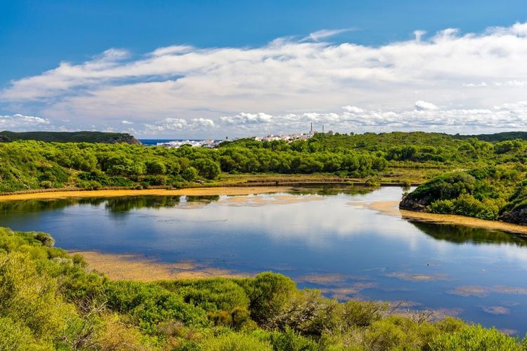 Parc naturel de S'Albufera des Grau