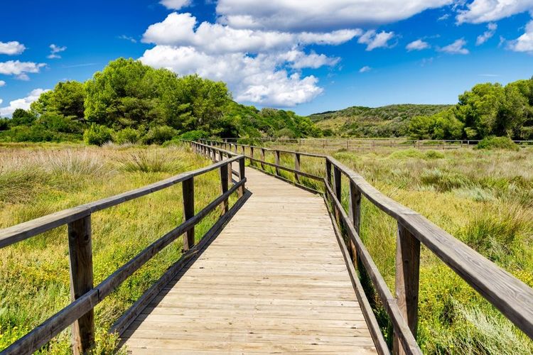 Parc naturel de S´Albufera des Grau près de Mahon, passage en teck sur pilotis